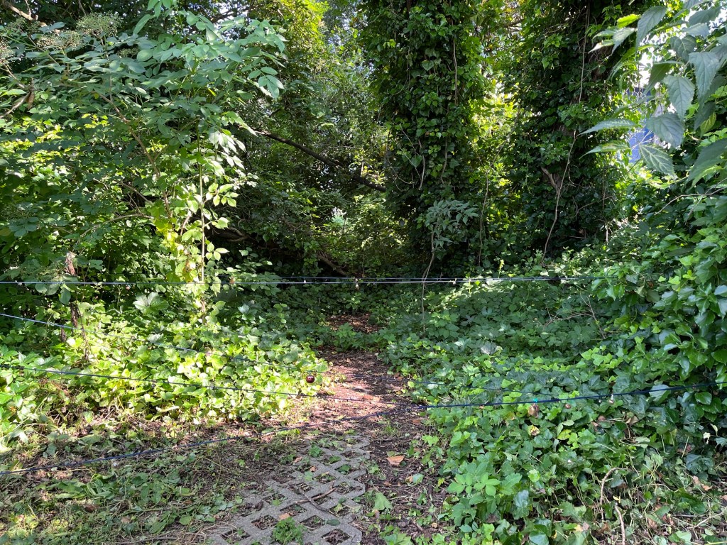 Un labirinto fai da te, realizzato con nastri e campanelli. Foto Vivigiocaimpara 